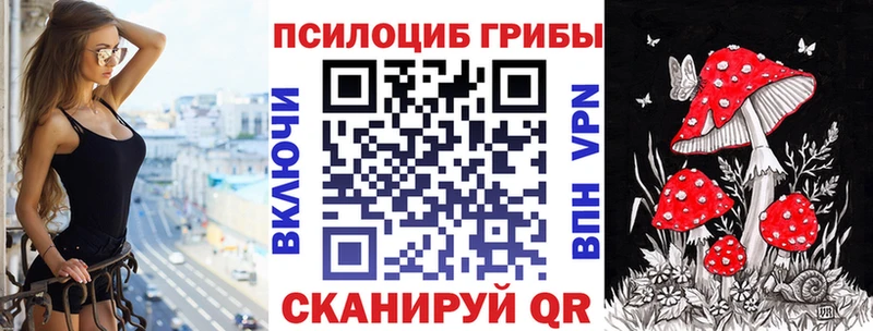 Купить где  Маркс  Галлюциногенные грибы мицелий 