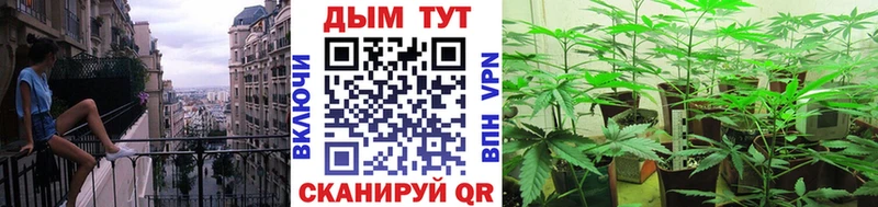 Купить  Маркс  Шишки марихуана MAZAR 